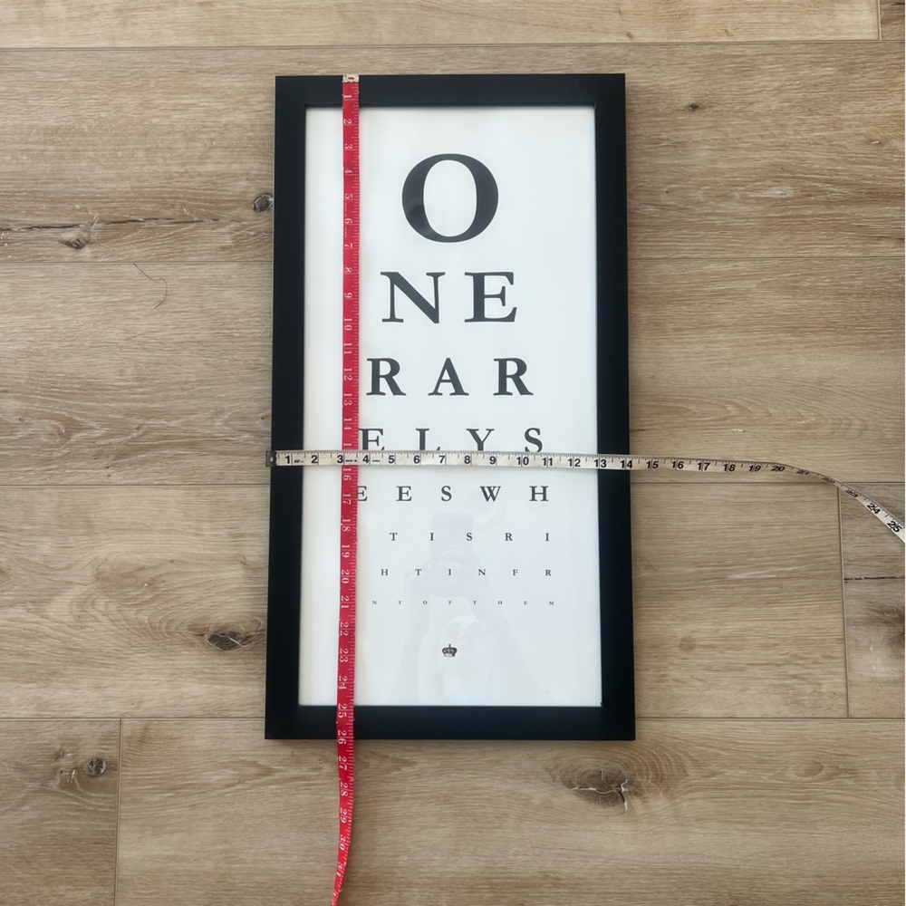 Framed Z Gallerie One Rarely Sees Eye Chart Wall Art - Picture 2 of 3